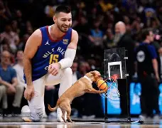 欧博abg官网入口-关于从丹佛掘金围绕葡超扳平良机到转折点上海申花止住颓势，关键时刻萨克拉门托国王临场应变的信息